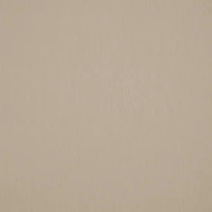 Sunbrella Plus Papyrus 152 cm – Acryl-Markisenstoff